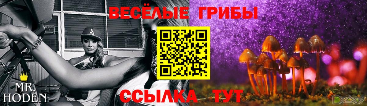 Галлюциногенные грибы мухоморы  Галлюциногенные грибы Psilocybine cubensis  Вход с VPN  Коломна 